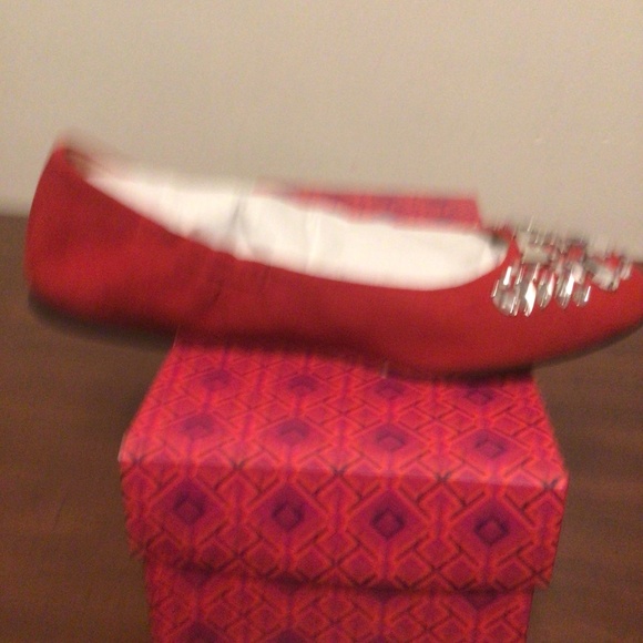 TORY BURCH DELPHINE CRYSTAL AND SUEDE BALLET FLATS SZ 8 NEW - Picture 6 of 6